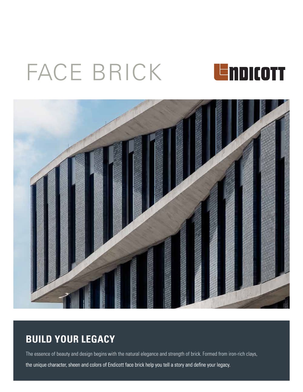Cover image of the Face Brick Brochure