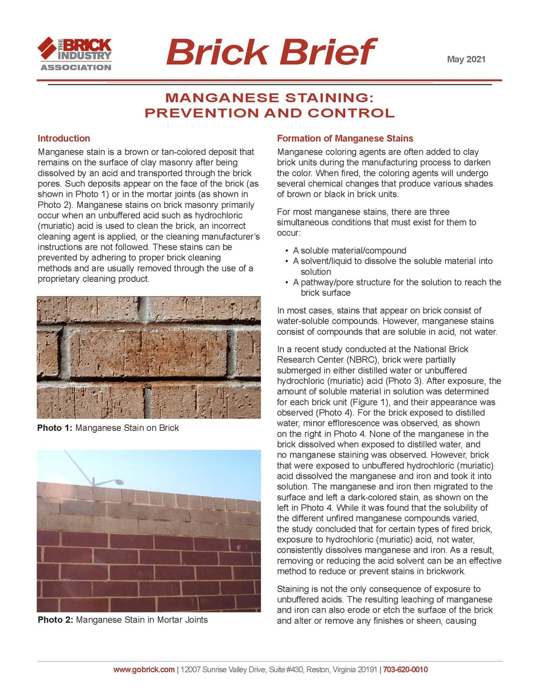Cover image of the Manganese Staining brick brief